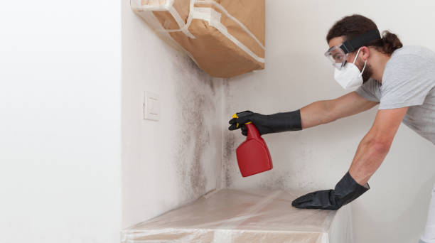 Professional Attic Mold Remediation technician working in Akron, CO
