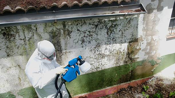 Top rated local Attic Mold Remediation specialists in Akron, CO